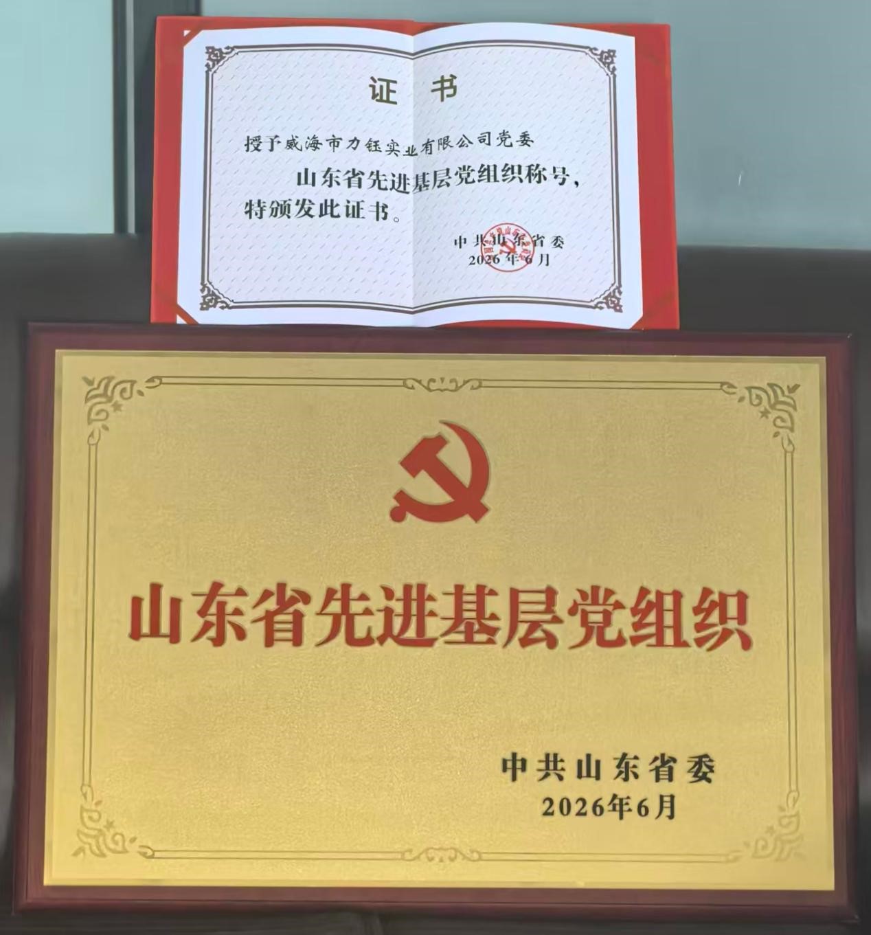 党组织.jpg