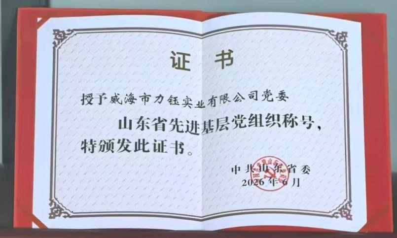 党建领航赋能发展 小扳手转动大制造